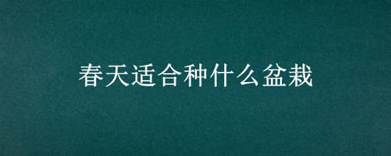 春天适合种什么盆栽 春天适合种什么盆栽植物