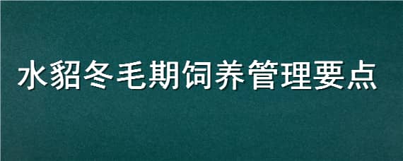 水貂冬毛期饲养管理要点 水貂的饲养管理