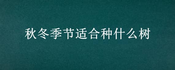 秋冬季节适合种什么树 秋冬季节适合种什么树种