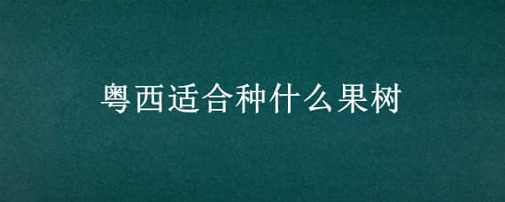 粤西适合种什么果树 粤西地区种植什么果树好