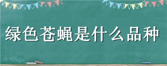 綠色蒼蠅是什么品種 綠色蒼蠅是什么品種的蜘蛛