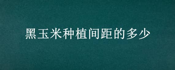 黑玉米种植间距的多少 黑玉米的种植方法和时间