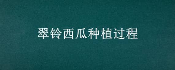 翠鈴西瓜種植過程（翠鈴西瓜種植過程圖解）