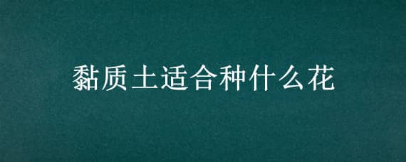 黏質(zhì)土適合種什么花 黏土適合種花嗎