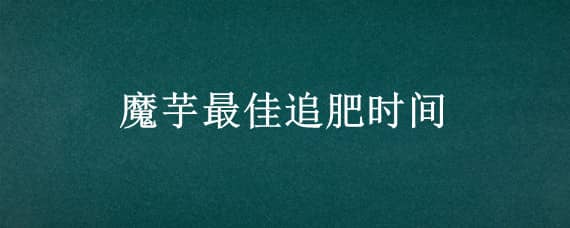 魔芋最佳追肥時間（魔芋一年追幾次肥料）