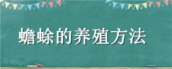 蟾蜍的養(yǎng)殖方法（蟾蜍養(yǎng)殖）