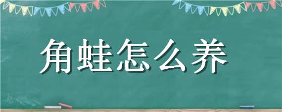 角蛙怎么養(yǎng)（皮卡丘角蛙怎么養(yǎng)）