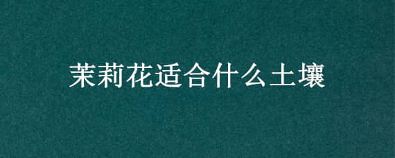 茉莉花適合什么土壤 茉莉花適合什么土壤養(yǎng)殖