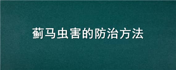 蓟马虫害的防治方法（大葱蓟马虫害的防治方法）