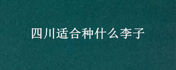 四川适合种什么李子（四川适合种什么李子品种）