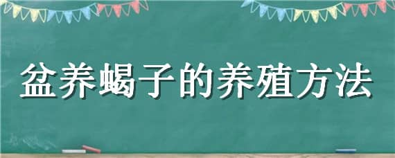 盆养蝎子的养殖方法（蝎子的养殖方法）