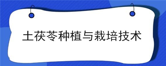 土茯苓种植与栽培技术 土茯苓种植与栽培技术视频