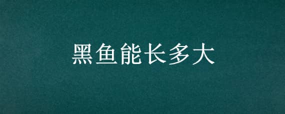 黑鱼能长多大 五道黑鱼能长多大