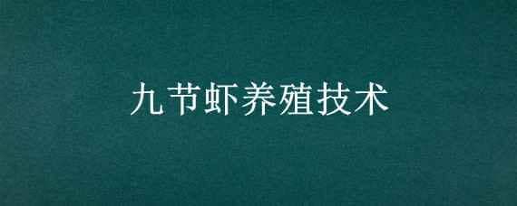 九节虾养殖技术（九节虾养殖技术视频）