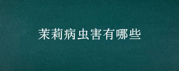 茉莉病虫害有哪些 茉莉病虫害有哪些危害