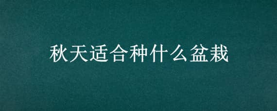 秋天適合種什么盆栽（秋天適合種什么盆栽水果）