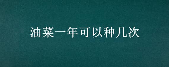 油菜一年可以种几次 油菜一年可以种几茬