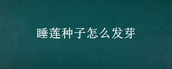 睡蓮種子怎么發(fā)芽 睡蓮種子怎樣催芽