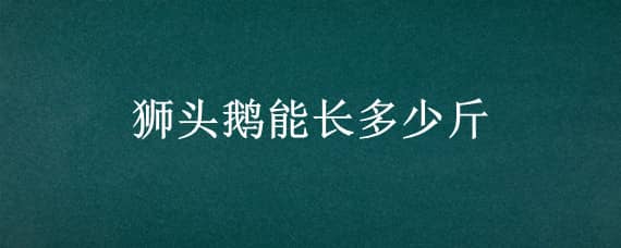 獅頭鵝能長(zhǎng)多少斤（廣東獅頭鵝能長(zhǎng)多少斤）