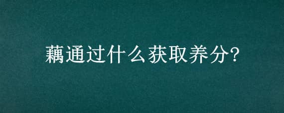 藕通过什么获取养分?（藕通过什么获取养分?藕丝还是藕皮?）