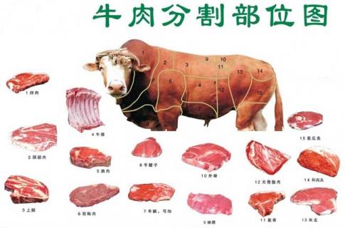 牛肉的分類