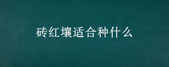 砖红壤适合种什么（砖红壤植被）