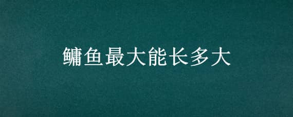 鳙魚最大能長多大 鳙魚可以長多大