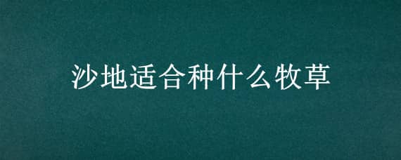 沙地适合种什么牧草 沙地适合种植什么牧草