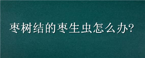 棗樹(shù)結(jié)的棗生蟲(chóng)怎么辦 大棗在樹(shù)上生蟲(chóng)的防治