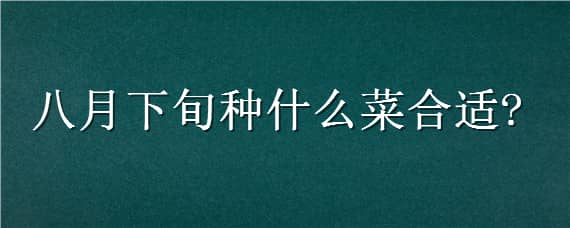 八月下旬種什么菜合適 八月份種什么菜合適