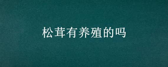 松茸有養(yǎng)殖的嗎 松茸有沒有養(yǎng)殖的