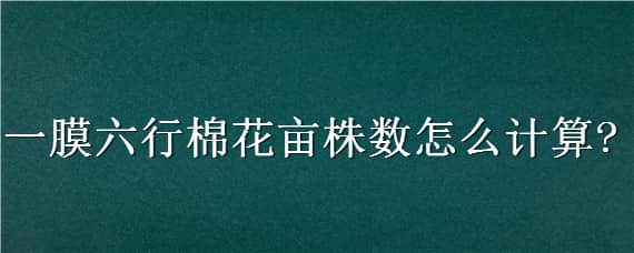 一膜六行棉花亩株数怎么计算（一膜四行棉花亩株数计算）