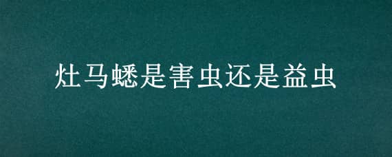 灶马蟋是害虫还是益虫 灶马蟋用哪种杀虫剂