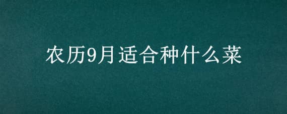 农历9月适合种什么菜 农历九月种什么菜最好