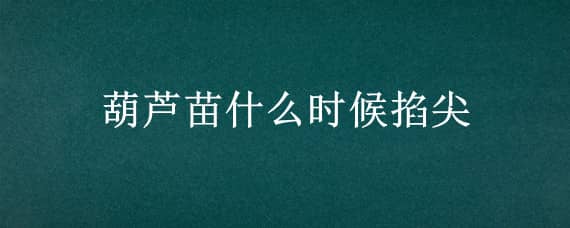 葫蘆苗什么時(shí)候掐尖 種植葫蘆什么時(shí)候掐尖