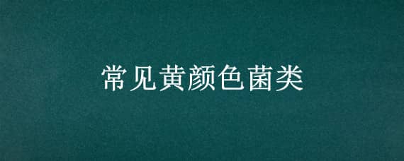 常见黄颜色菌类 黄色菌是什么