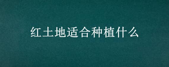 紅土地適合種植什么（紅土地適合種植什么藥材）