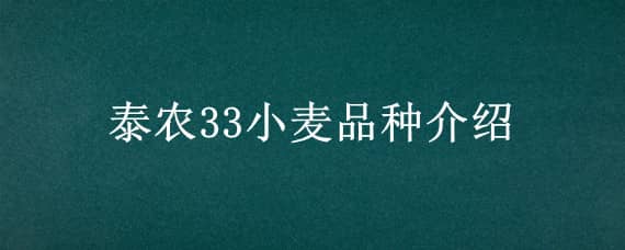 泰农33小麦品种介绍 小麦品种泰科麦36