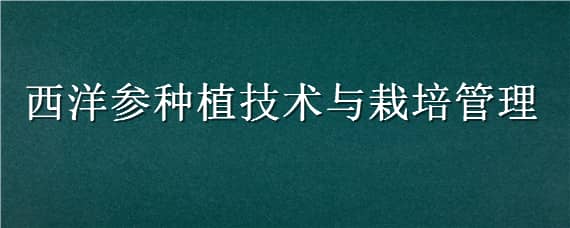 西洋参种植技术与栽培管理（西洋参的栽培与管理技术）