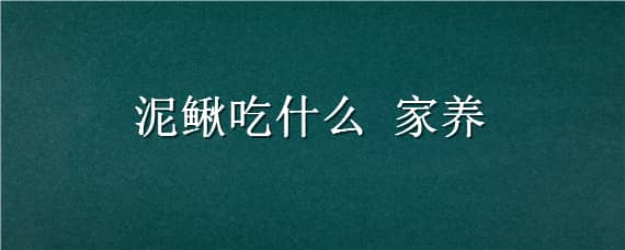 泥鳅吃什么家养（家里养泥鳅吃啥）