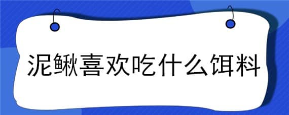 泥鳅喜欢吃什么饵料（泥鳅喜欢吃什么饵料钓鱼）