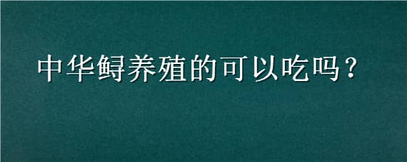 中華鱘養(yǎng)殖的可以吃嗎（中華鱘人工養(yǎng)殖的可以吃嗎）