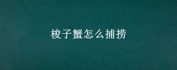 梭子蟹怎么捕捞（梭子蟹怎么捕捉）