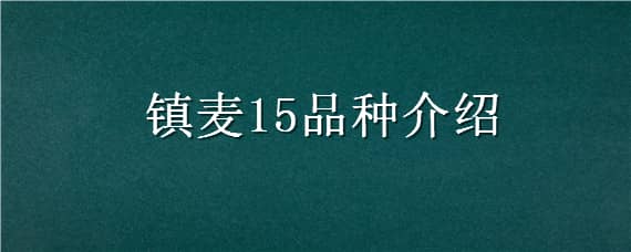 镇麦15品种介绍 镇麦15小麦品种简介