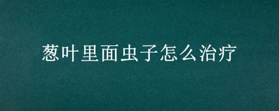 蔥葉里面蟲(chóng)子怎么治療 蔥葉有蟲(chóng)子怎么辦