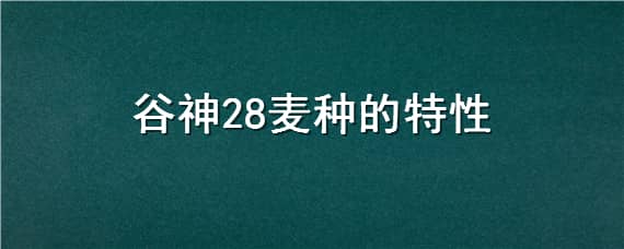 谷神28麥種的特性 谷神28小麥種抗倒嗎