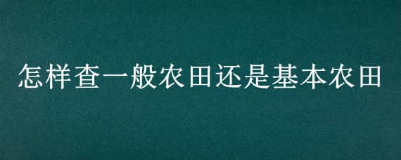 怎样查一般农田还是基本农田（怎么看农田是不是基本农田）