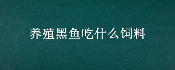 养殖黑鱼吃什么饲料 养殖黑鱼吃什么饲料好