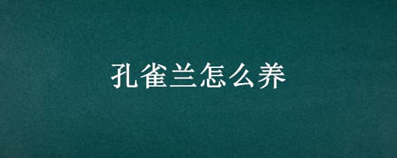 孔雀蘭怎么養(yǎng) 孔雀蘭花怎么養(yǎng)