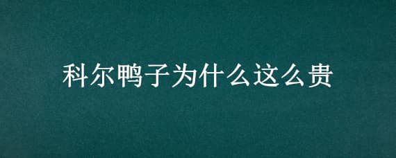 科尔鸭子为什么这么贵（科尔达鸭为什么那么贵）